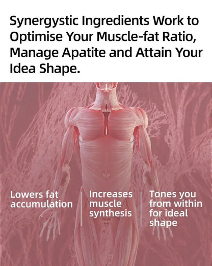 SRW Msc¹ Muscular System Tone