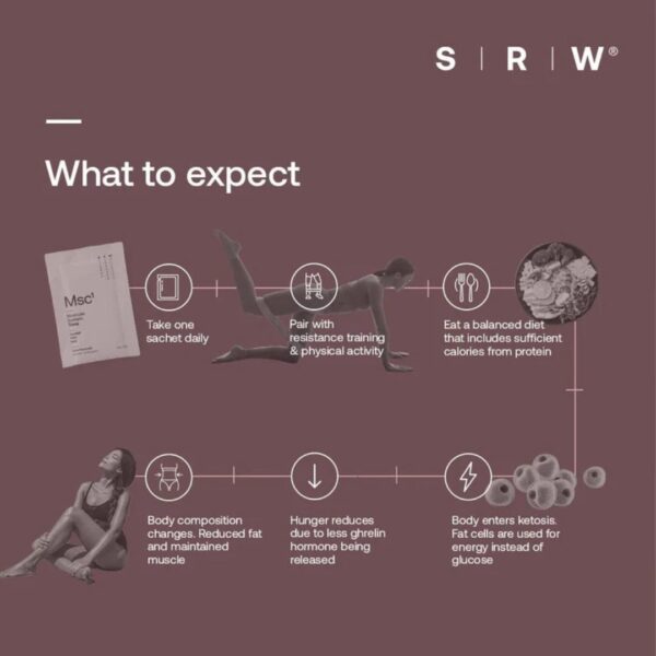 srw-msc1-tone-muscular-system-tone SRW Msc¹ Tone Muscular System Tone | 30 Sachets