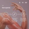 srw-msc1-tone-muscular-system-tone SRW Msc¹ Tone Muscular System Tone | 30 Sachets